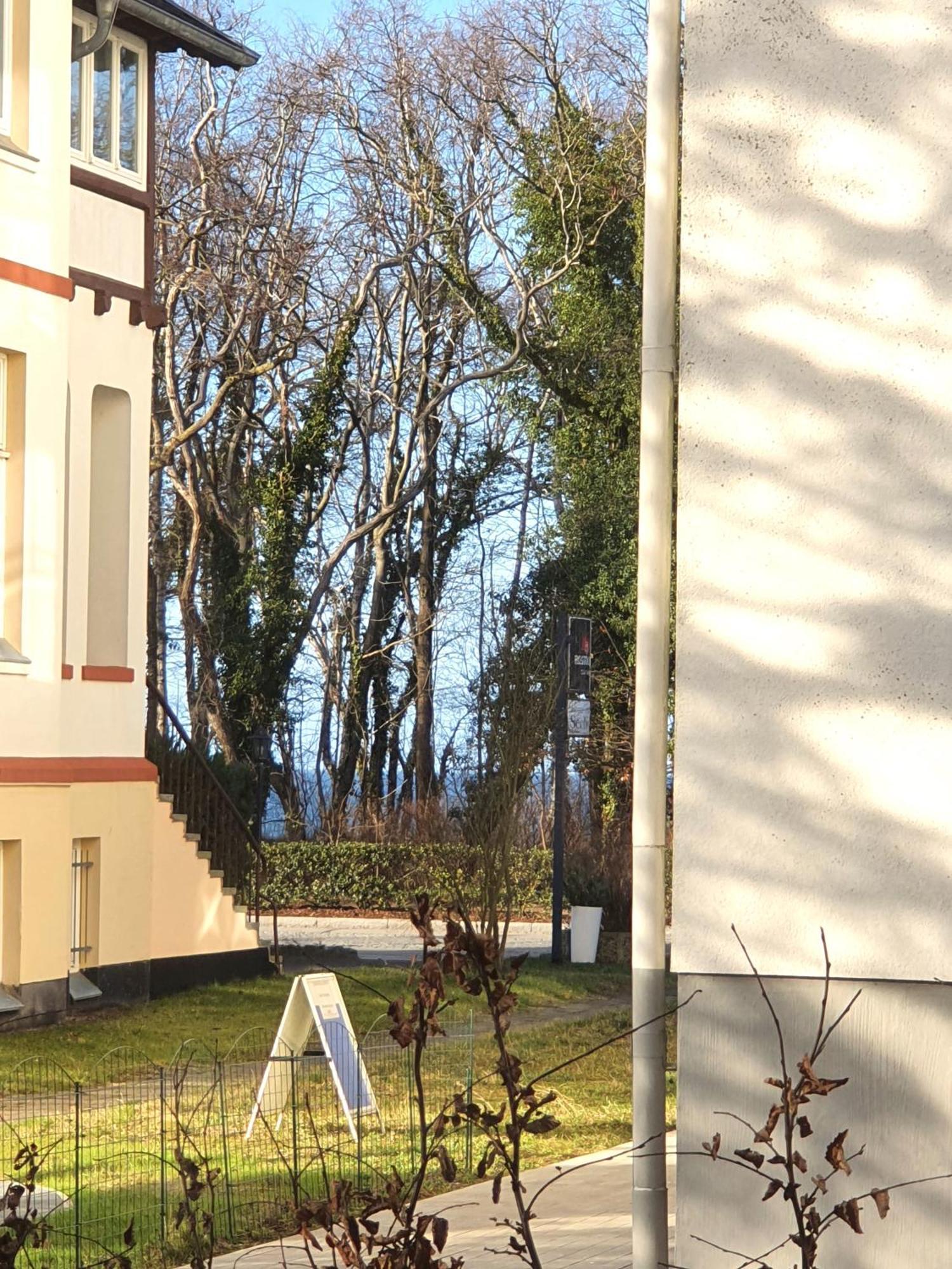 Villa Camenia คูล็องสบอร์น ห้อง รูปภาพ
